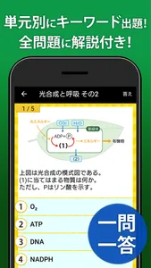 生物 一問一答＆演習問題 screenshot 1