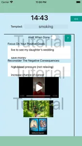 Pallas Habit And Addiction screenshot 1