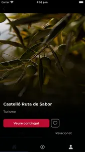 Play Castelló screenshot 2