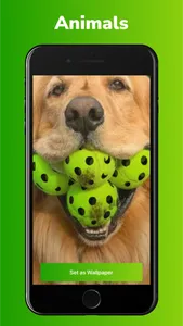 PickleMyPhone screenshot 3