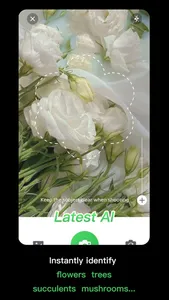 PlantSnap plant identification screenshot 1