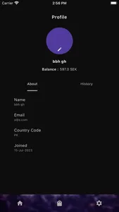 PaynPlay screenshot 1