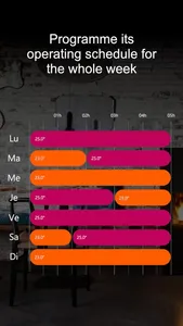 Brisach EVO screenshot 4