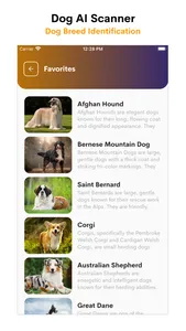 Dog AI Scanner and Identifier screenshot 1