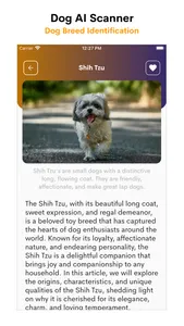 Dog AI Scanner and Identifier screenshot 2