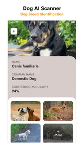 Dog AI Scanner and Identifier screenshot 3