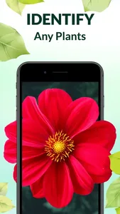 Wow Plant Identifier - AI Care screenshot 0