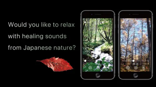 Sound Gift From Nature 2 screenshot 0