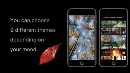 Sound Gift From Nature 2 screenshot 2
