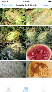 MyIPM Vegetables screenshot 4