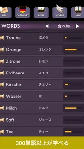 ドイツ語単語帳-アドラーとドイツ語学習 screenshot 2