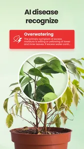 Plant Identifier - PlantSaver screenshot 2