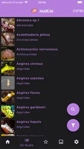 nudi.io - nudibranch id screenshot 1