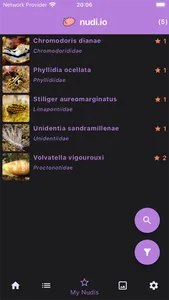 nudi.io - nudibranch id screenshot 4