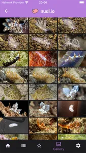 nudi.io - nudibranch id screenshot 6