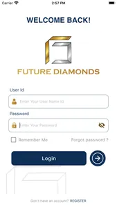 Future Diamonds Fzco screenshot 1