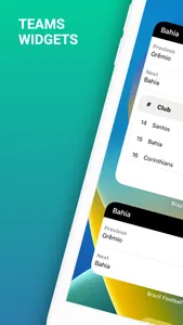 Brasileirão Football Widgets screenshot 2