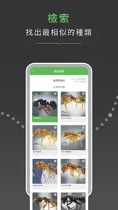 AntFID尋蟻覓跡 screenshot 2