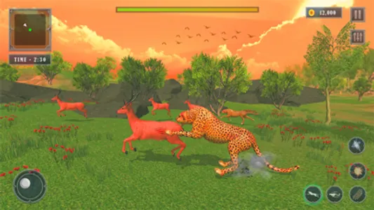 African Wild Cheetah Simulator screenshot 1