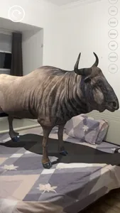 Real AR Animals screenshot 8