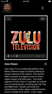 Zulu Vision screenshot 2