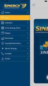 SINERGY STORE screenshot 4