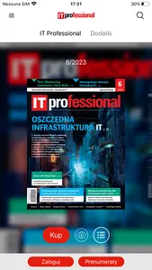 IT Professional screenshot 1