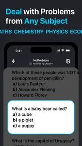 NoProblem: AI Homework Helper screenshot 2