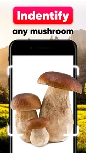 Mushroom ID - Identification screenshot 0