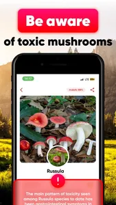 Mushroom ID - Identification screenshot 1