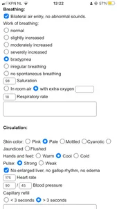 Pediatric ED chart screenshot 2