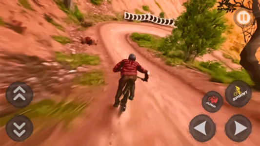 BMX Bicycle Racing Simulator screenshot 1