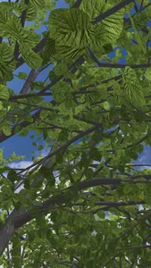 paper trees screenshot 1