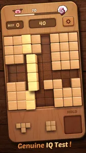 Block Puzzle Wood 3D screenshot 3