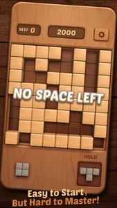 Block Puzzle Wood 3D screenshot 4