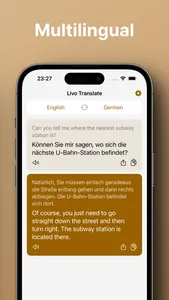 Livo Translate screenshot 2