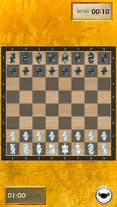 Chess for two screenshot 0