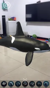 AR 水族馆 screenshot 5