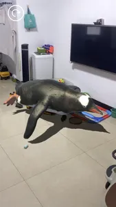 AR 水族馆 screenshot 7