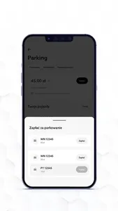 Parking Posnania screenshot 1