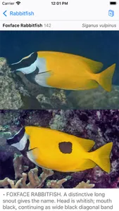 Philippines Fish ID screenshot 1