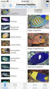 Philippines Fish ID screenshot 2
