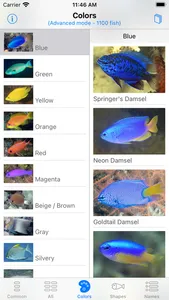 Philippines Fish ID screenshot 4