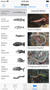 Philippines Fish ID screenshot 6