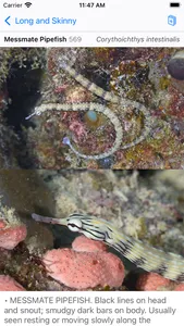 Philippines Fish ID screenshot 7