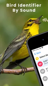 Bird Identifier by Sound ID! screenshot 0