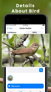 Bird Identifier by Sound ID! screenshot 2