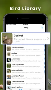 Bird Identifier by Sound ID! screenshot 3
