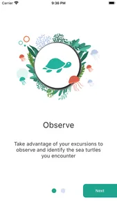 We Spot Turtles! screenshot 1