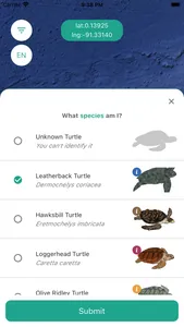 We Spot Turtles! screenshot 4